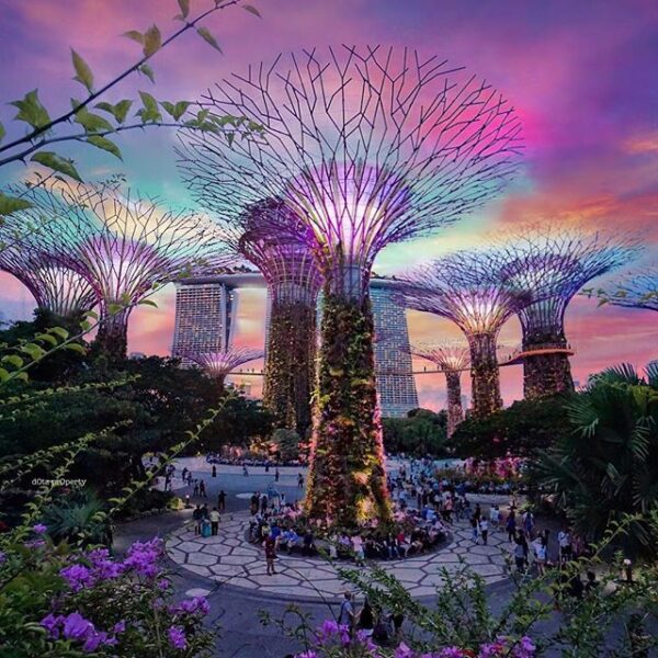 Visita a Gardens by the Bay - Singapur
